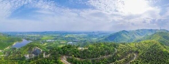 森林舞会游戏下载大全-探索森林舞会，游戏下载大全与乐趣分享